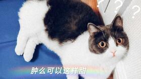 娛樂(lè)圈吃瓜磕cp,CP甜蜜互動(dòng)大盤點(diǎn)