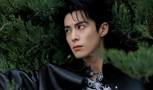 娛樂吃瓜爆料王鶴棣,娛樂圈新晉“吃瓜王”，揭秘明星幕后故事